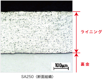 断面組織　SA250