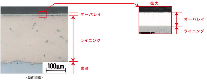 断面組織　T300/HS100