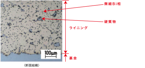 断面組織　HB100