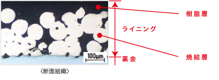 断面組織　FB500
