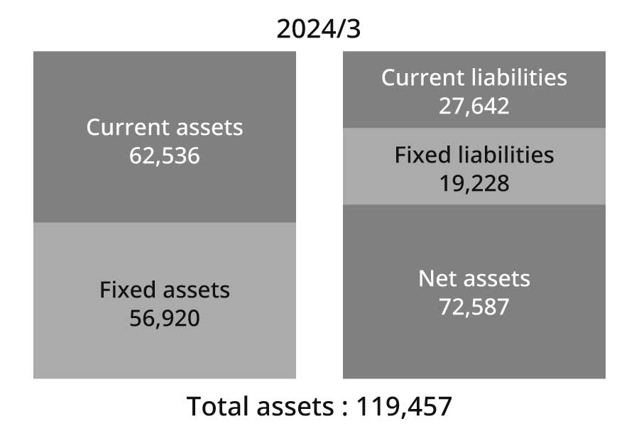 Total assets:119,457 Current assets:62,536 Fixed assets:56,920 Current liabilities:27,642 Fixed liabilities:19,228 Net assets:72,587