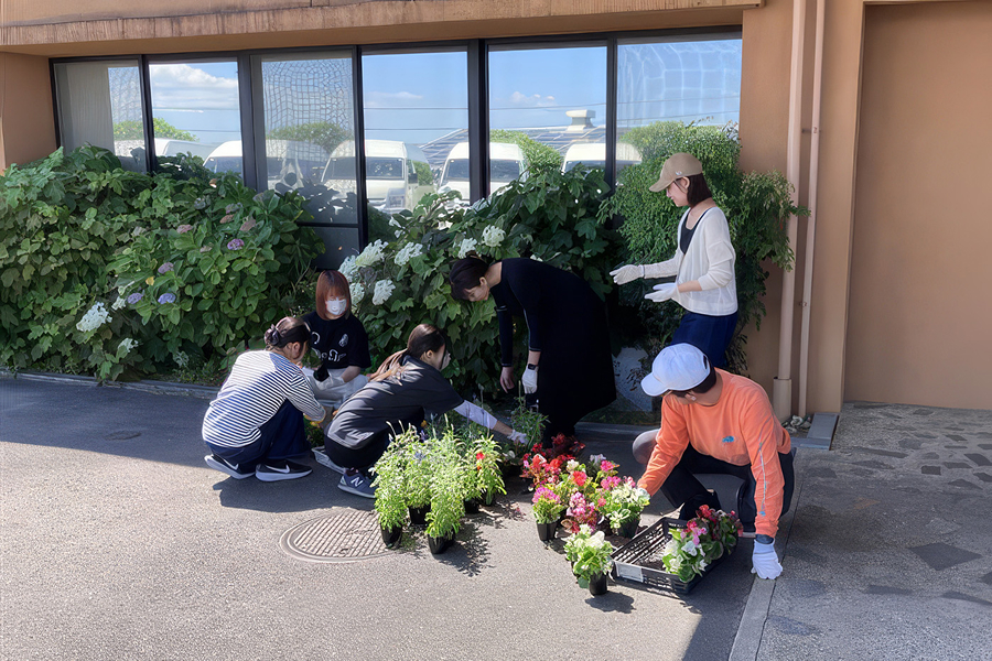 花々を植えている様子